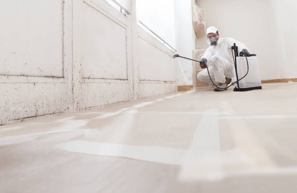 24/7 Emergency Commercial Mold Remediation experts in Montclair, VA