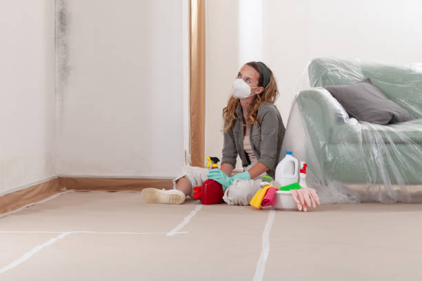 Reliable Commercial Mold Remediation contractor in Montclair, VA by WQB Mold Removal