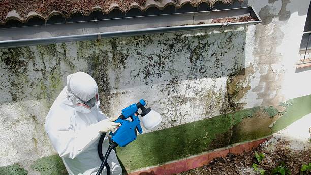 Top rated local Commercial Mold Remediation specialists in Montclair, VA